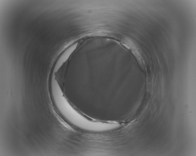 X0000070170389200606231926