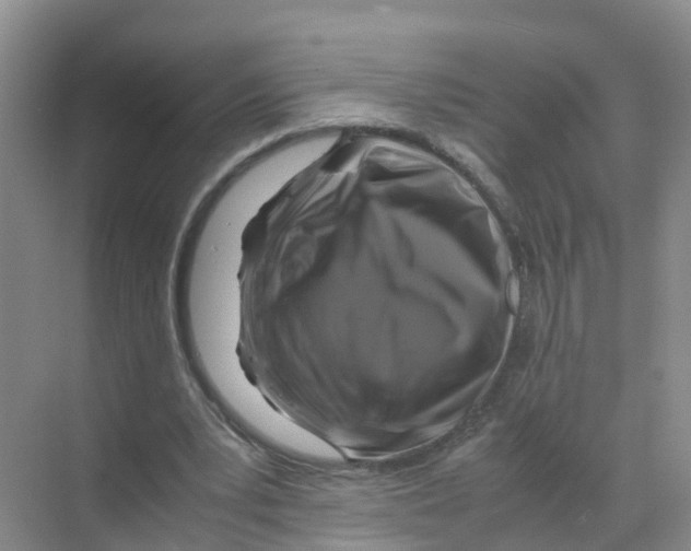 X0000070170391200606231926