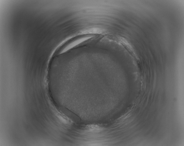 X0000070170392200606231926