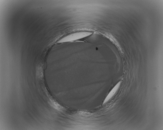 X0000070170393200606231926