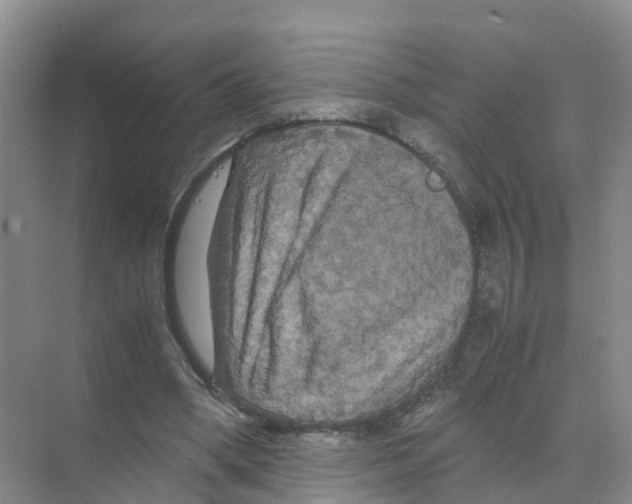 X0000070170394200606231926