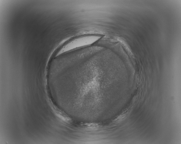 X0000070170395200606231926