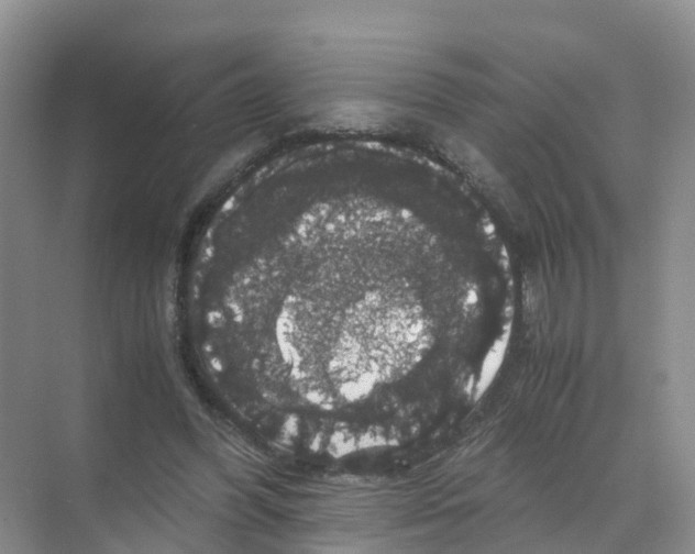 X0000070170396200606231926