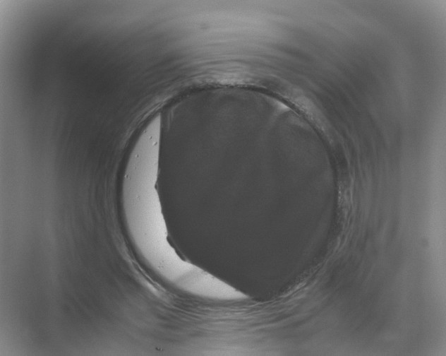 X0000070170397200606231926