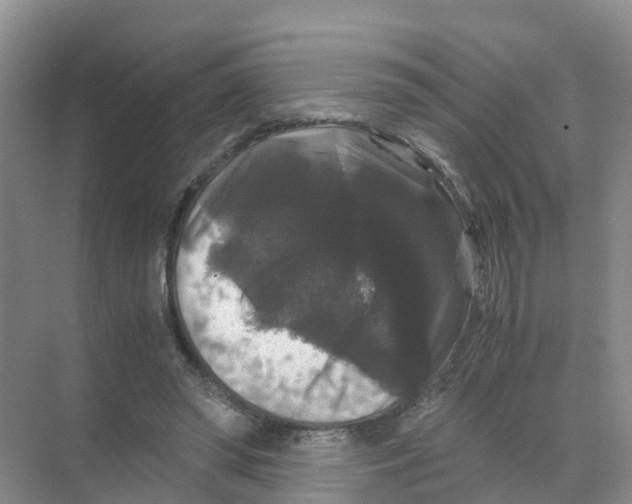 X0000070170398200606231926