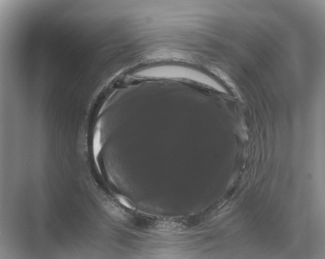 X0000070170399200606231926