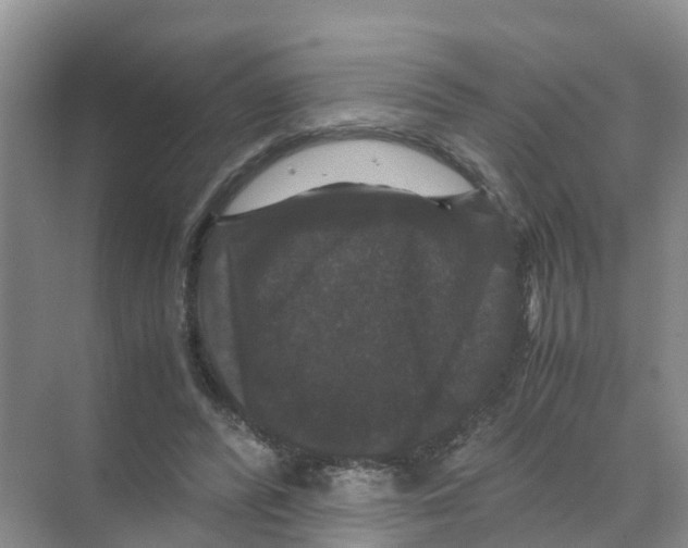 X0000070170400200606231926