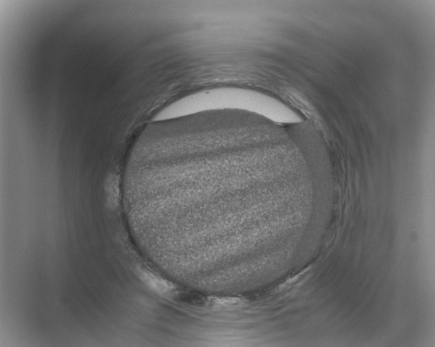 X0000070170401200606231926