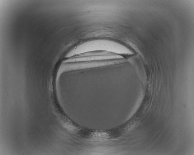 X0000070170403200606231926