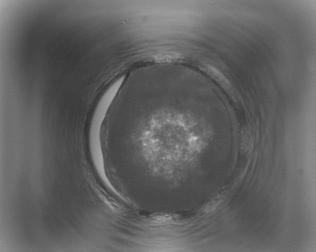 X0000070170405200606231926