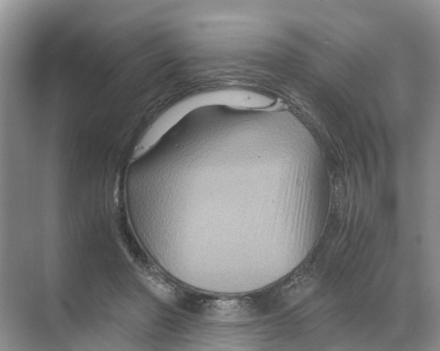 X0000070170406200606231926