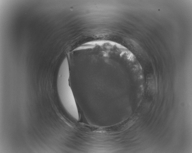 X0000070170408200606231926