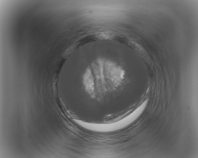 X0000070170409200606231926