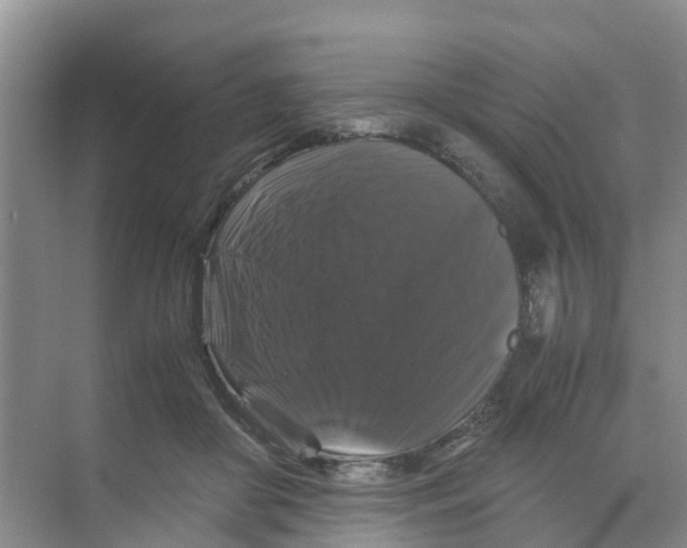 X0000070170410200606231926