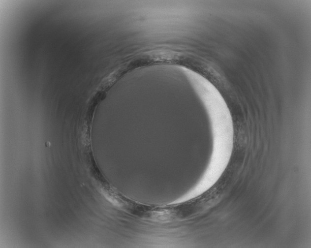 X0000070170411200606231926