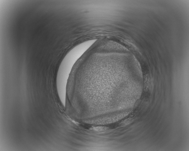 X0000070170417200606231926