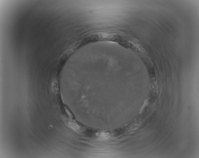 X0000070170419200606231926