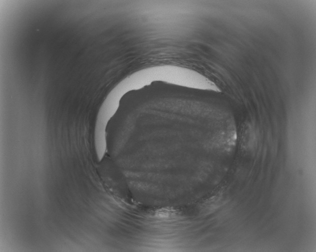 X0000070170420200606231926