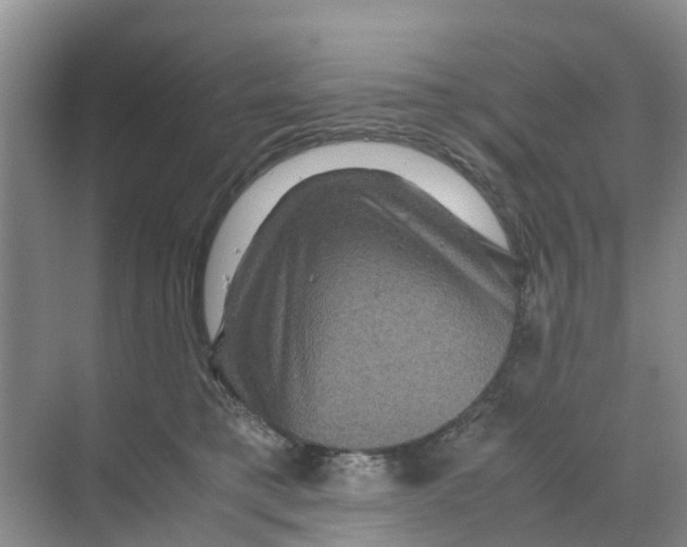 X0000070170421200606231926