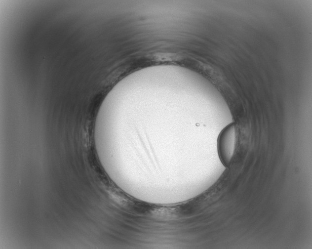 X0000070170422200606231926