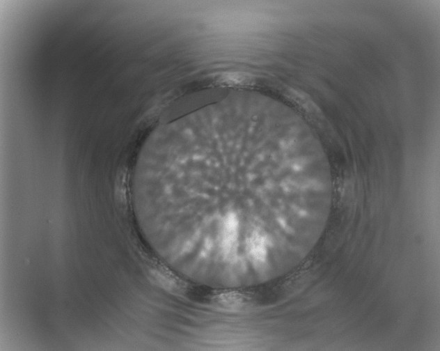 X0000070170423200606231926