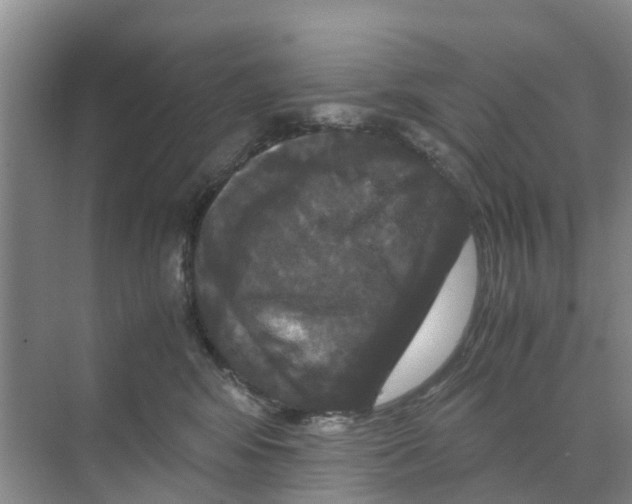 X0000070170424200606231926