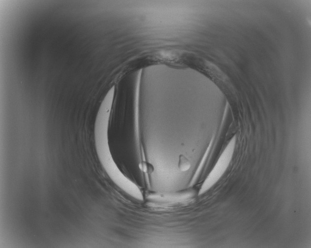 X0000070170425200606231926