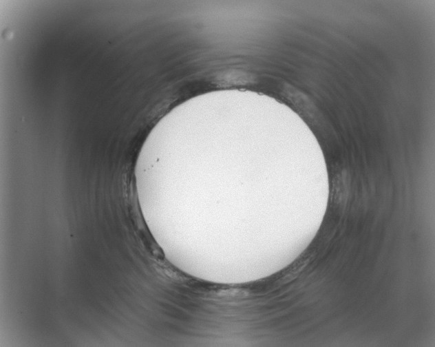 X0000070170426200606231926