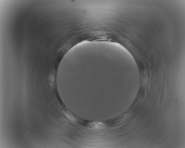 X0000070170427200606231926