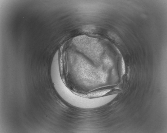 X0000070170428200606231926