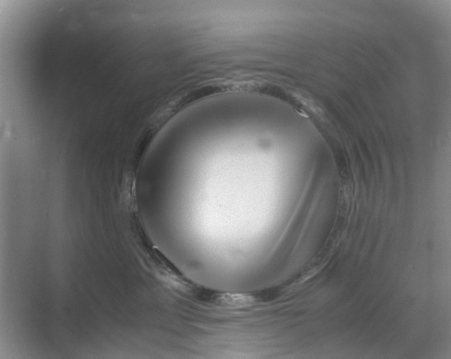 X0000070170429200606231926