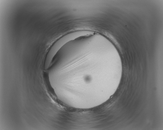 X0000070170433200606231925