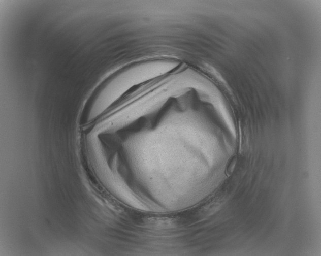 X0000070170435200606231925