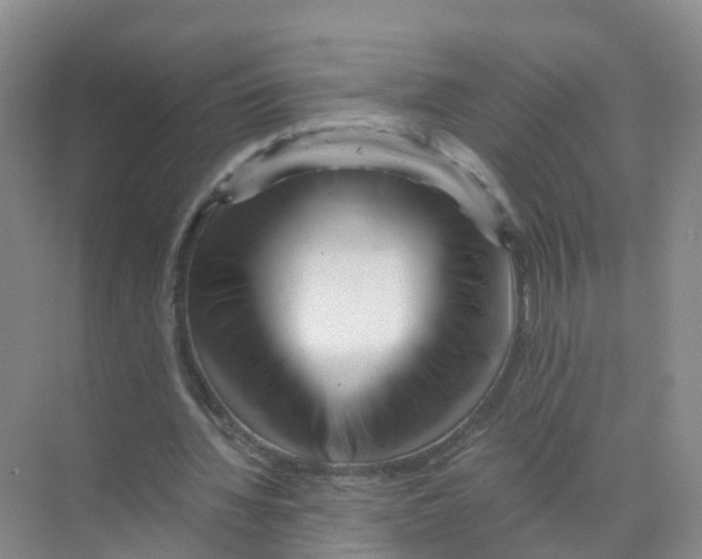 X0000070170436200606231925