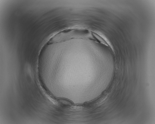 X0000070170437200606231925