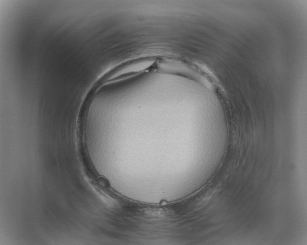 X0000070170439200606231925