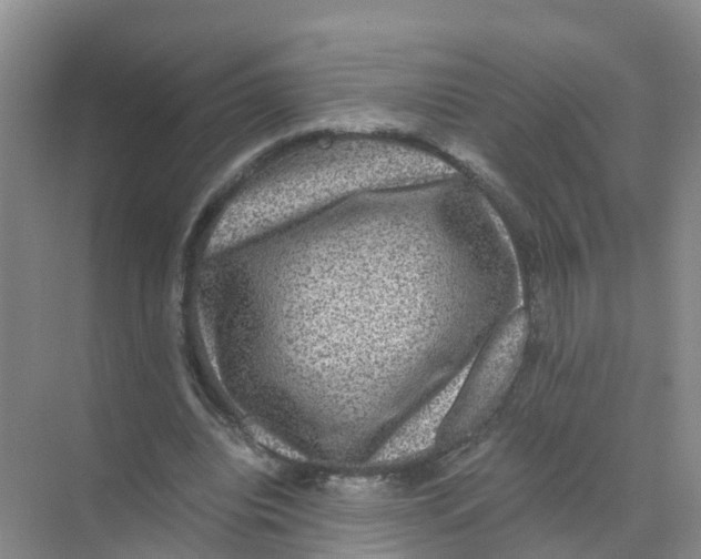 X0000070170440200606231925