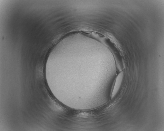 X0000070170441200606231925