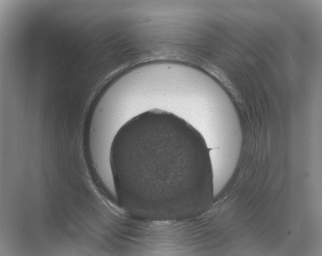 X0000070170442200606231925