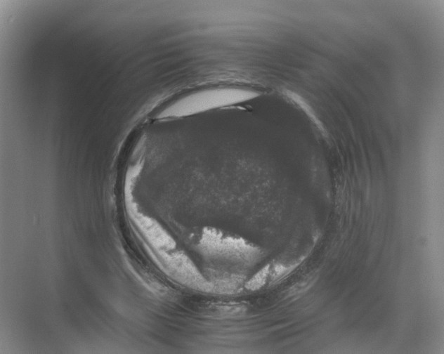 X0000070170443200606231925