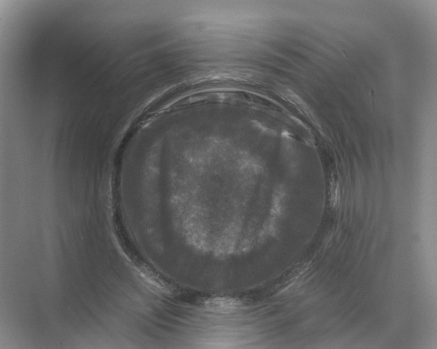 X0000070170444200606231925