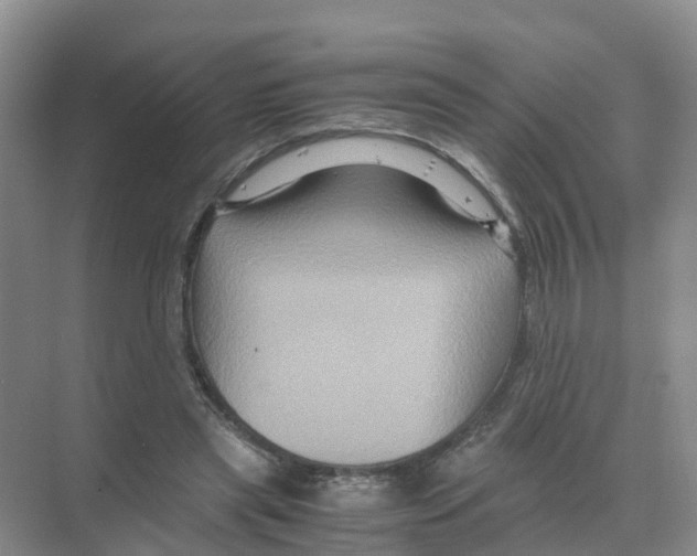 X0000070170445200606231925