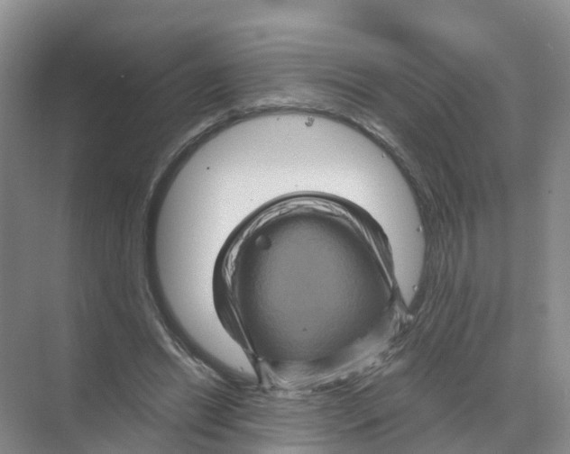 X0000070170446200606231925