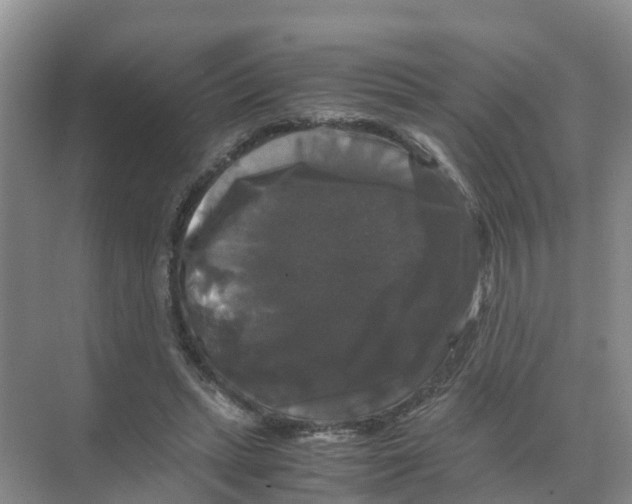 X0000070170447200606231925