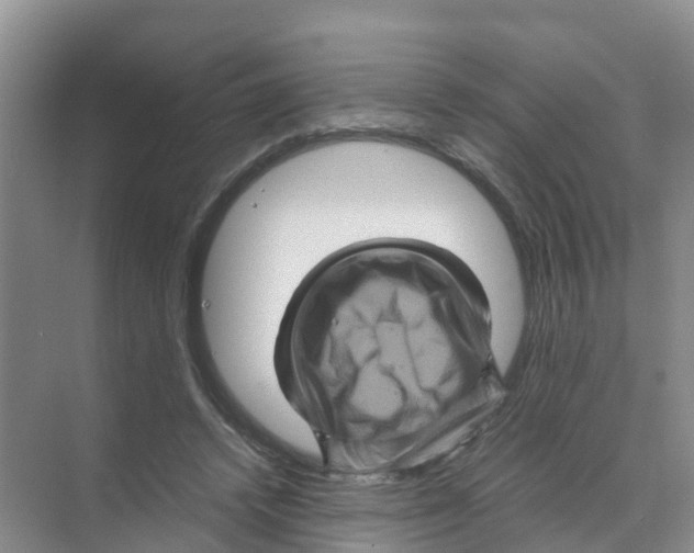 X0000070170448200606231925