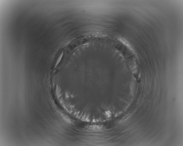 X0000070170449200606231925