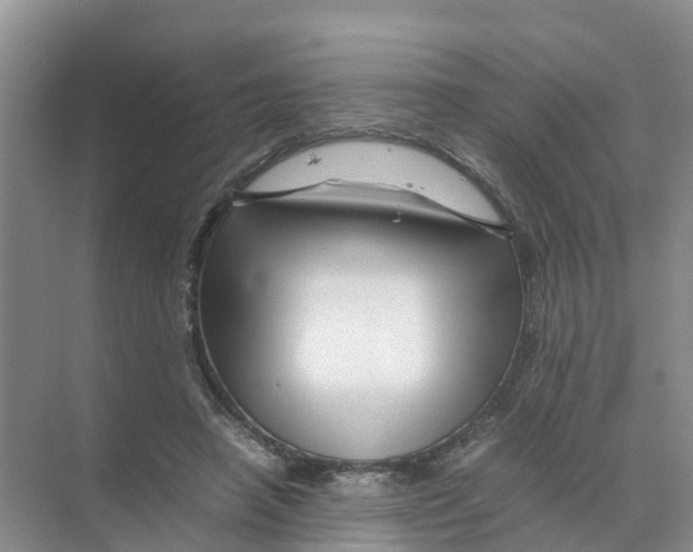 X0000070170450200606231925