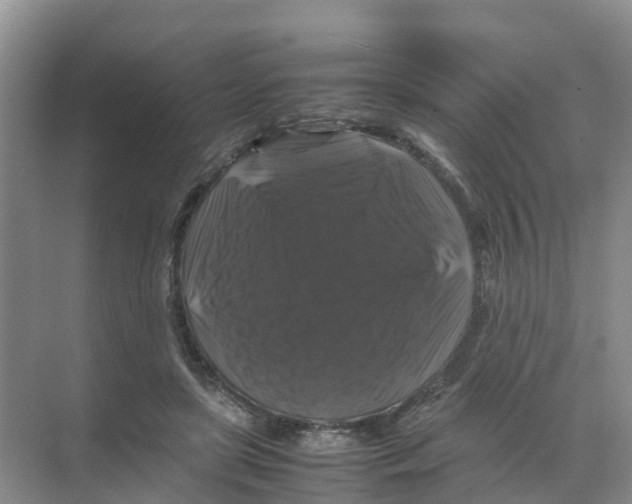 X0000070170451200606231925