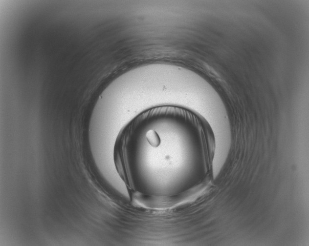 X0000070170452200606231925