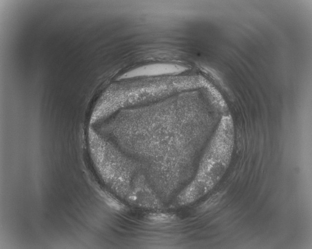 X0000070170453200606231925